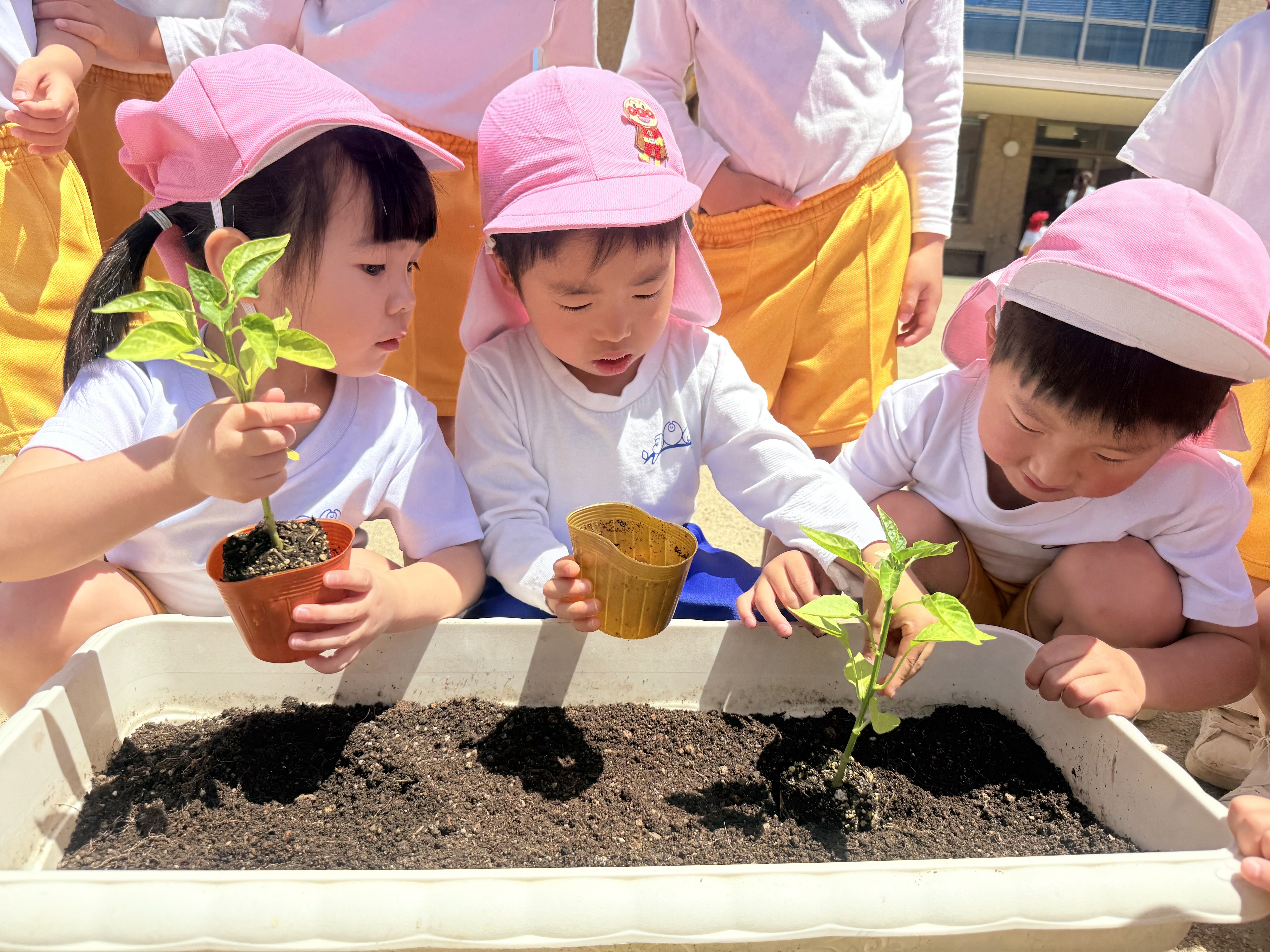 長野保育園